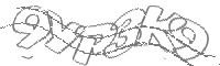 Check code